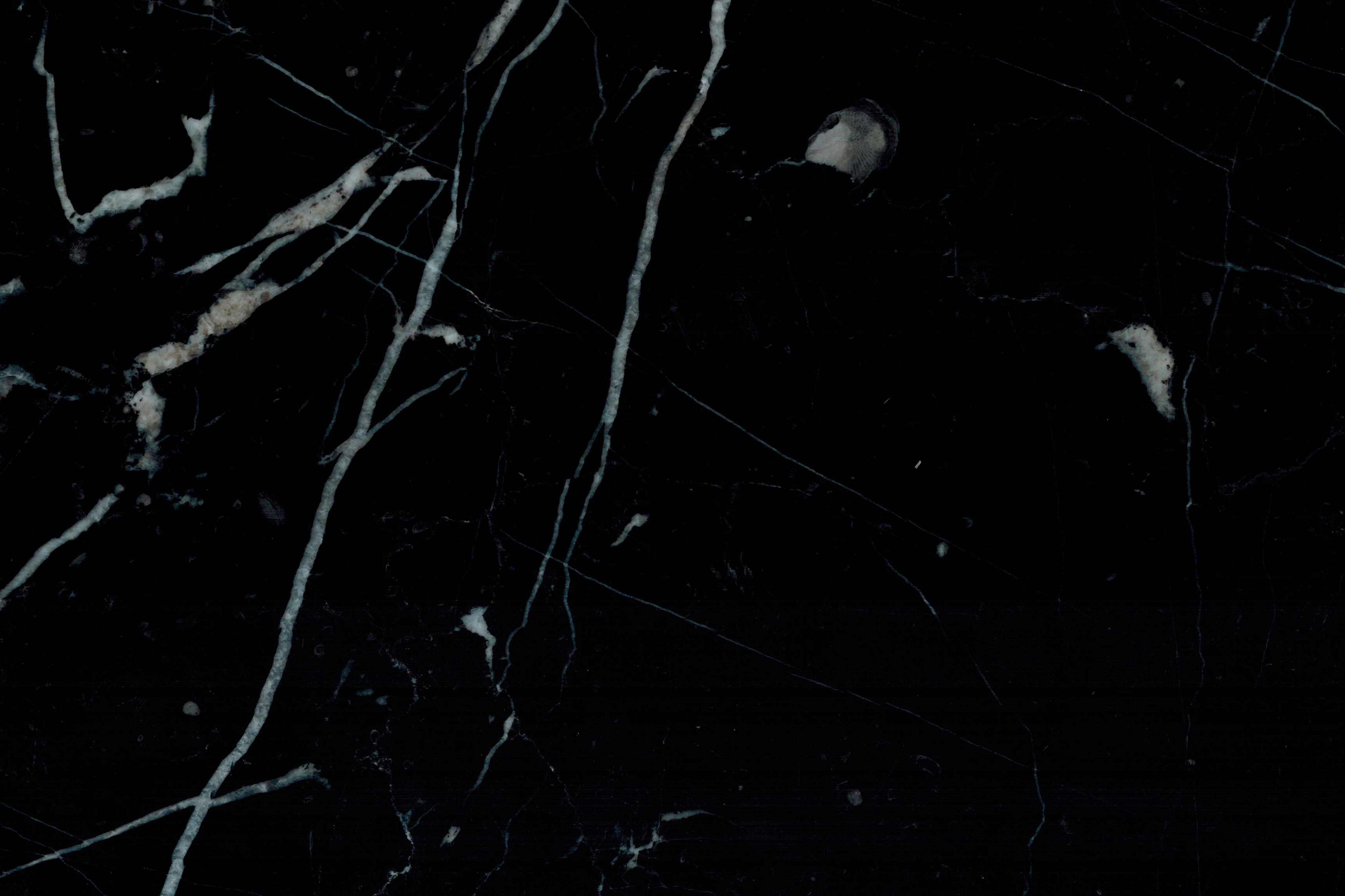 NERO MARQUINA